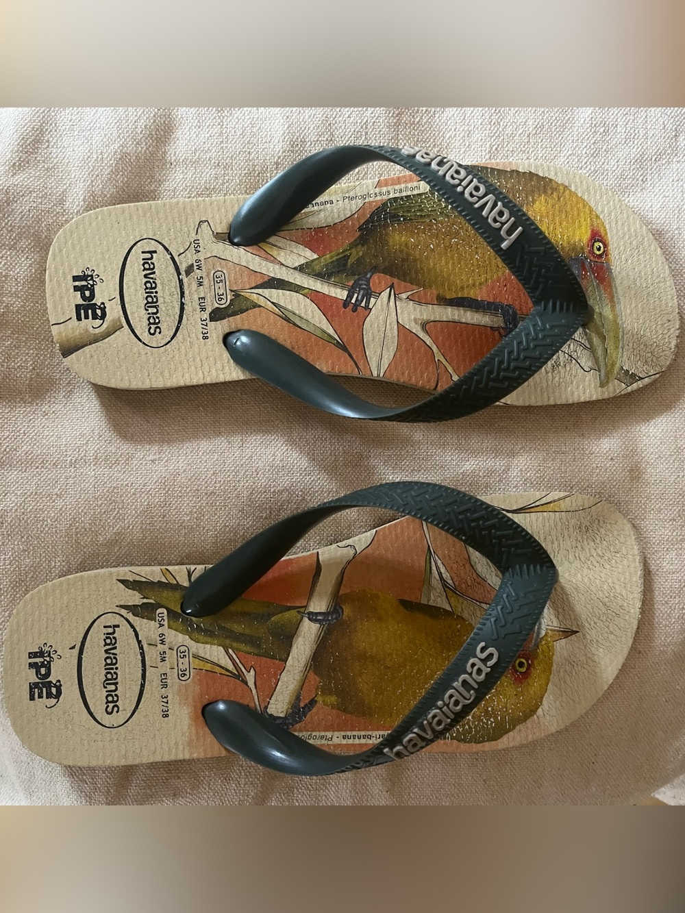 Havaianas IPE flip flops.